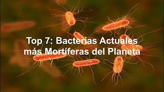 Top 7: Bacterias Actuales mas Mortíferas del Planeta