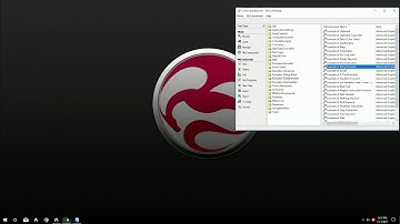 Dragon Naturally Speaking - Advanced Scripting - Comment Instruction
