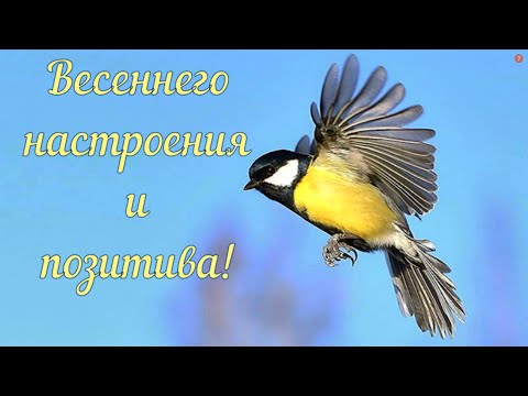 Хорошего настроения и