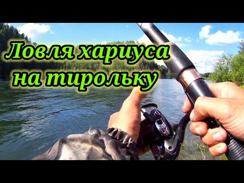 Рыбалка на реке Бия 👆 Ловля хариуса на тирольку.