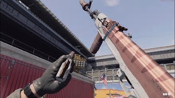 Call of Duty Black Ops Cold War/Warzone AK-47 Cat Nip Showcase (All Mastery Camos)