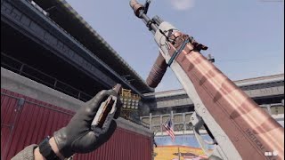 Call Of Duty Black Ops Cold Warwarzone Ak-47 Cat Nip Showcase All Mastery Camos