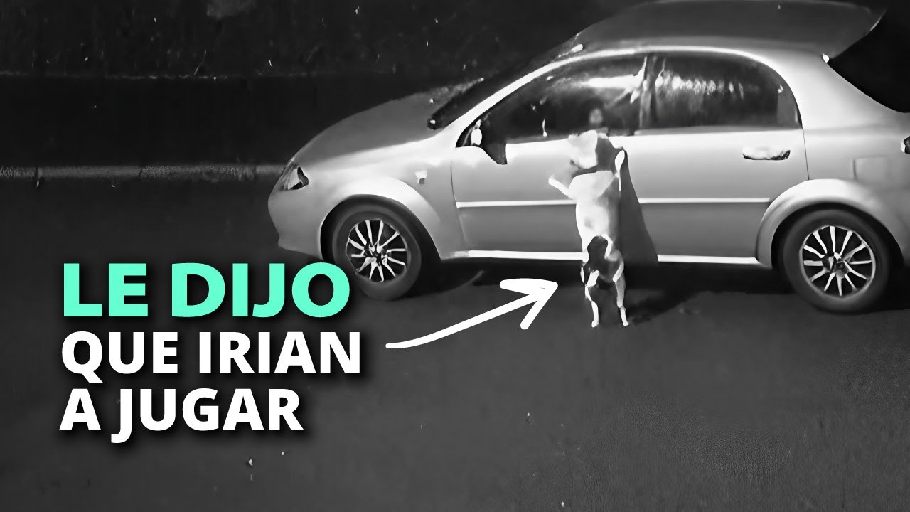 Todo era mentira, este perrito no regresaría a casa