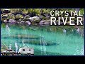 Crystal River, Florida: Manatee Festival and Three Sisters Spring