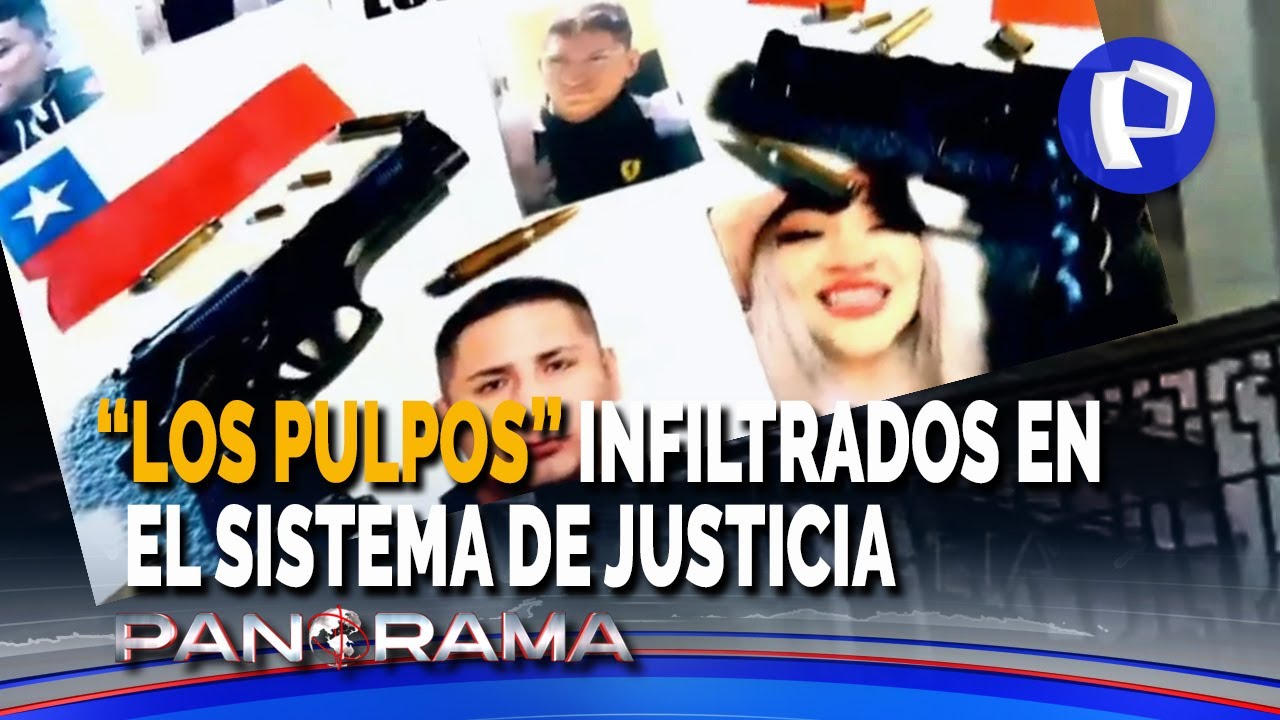 Hallan solicitud de detención en casa de sicario: “Los Pulpos” infiltrados en el sistema de justicia