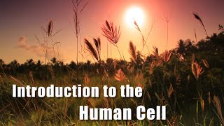 Introduction to the Human Cell! (Full Video)