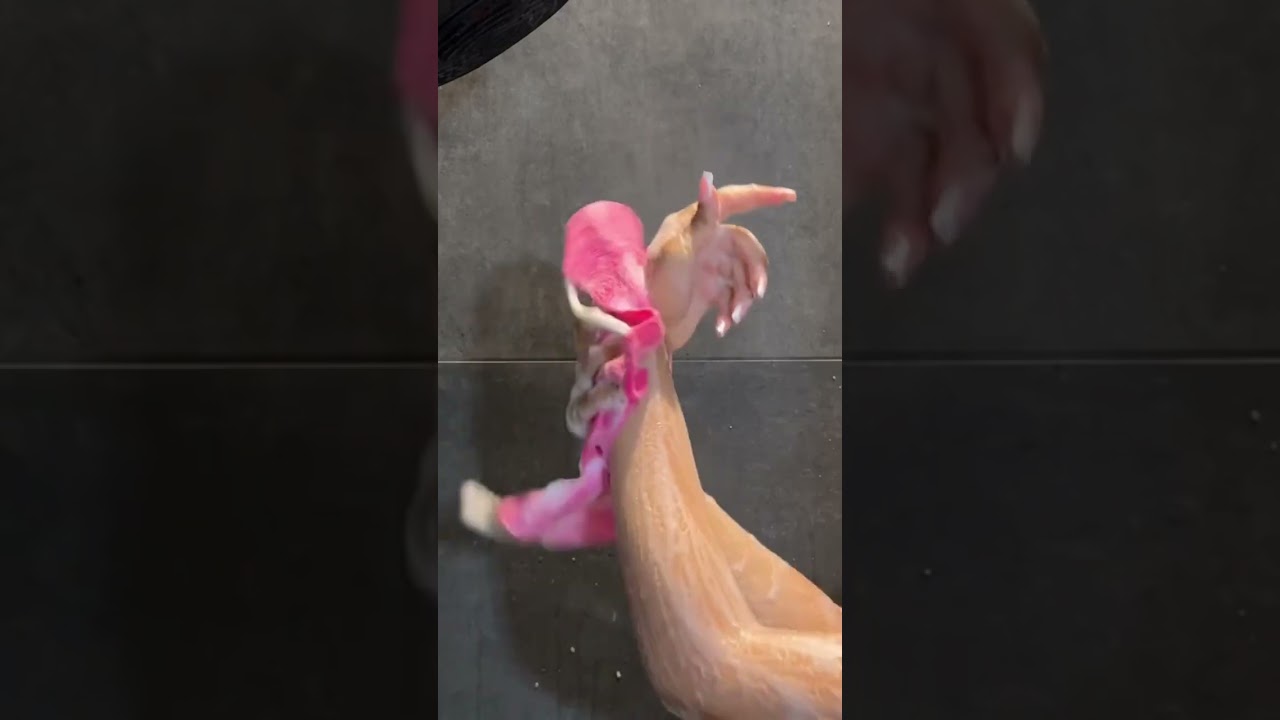 🧼CHEAPEST Shower Routine!? Dollar Tree Hygiene Finds!