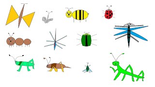 Insects