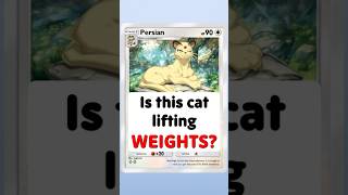 Persian: The SWOLE Pokemon #pokemontcgpocket #pokemon #pokemoncards
Help keep the channel alive!
Patreon ➤ http://www.patreon.com/Gnoggin
MERCH! ➤ https://www.gnoggin.net/
Socials:
Bluesky ➤ https://bsky.app/profile/lockstin.bsky.social
Threads ➤ https://www.threads.net/@lockstin_gnoggin
Instagram ➤ https://www.instagram.com/lockstin_gnoggin/?hl=en
Gnoggin, hosted by its creator Lockstin, is a show delving into the mysteries of Pokemon! (and other games sometimes too). Explaining everything there is to explain! Why is each Pokemon given the type it has? What are their origins? What is the lore of the Pokemon world and the design inspirations? And what does it all have to do with alchemy? Lets Go find out! Persian: The SWOLE Pokemon #pokemontcgpocket #pokemon #pokemoncards