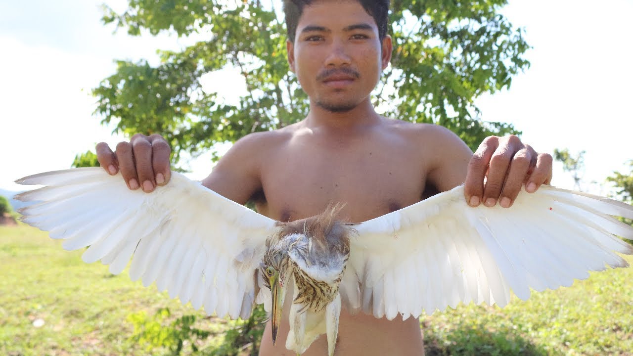 Primitive Technical | Make Snare for Egret | Cooking Egret and eating delicious