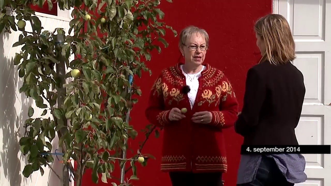 Í Fókus - Gróður og garðar 2.hluti