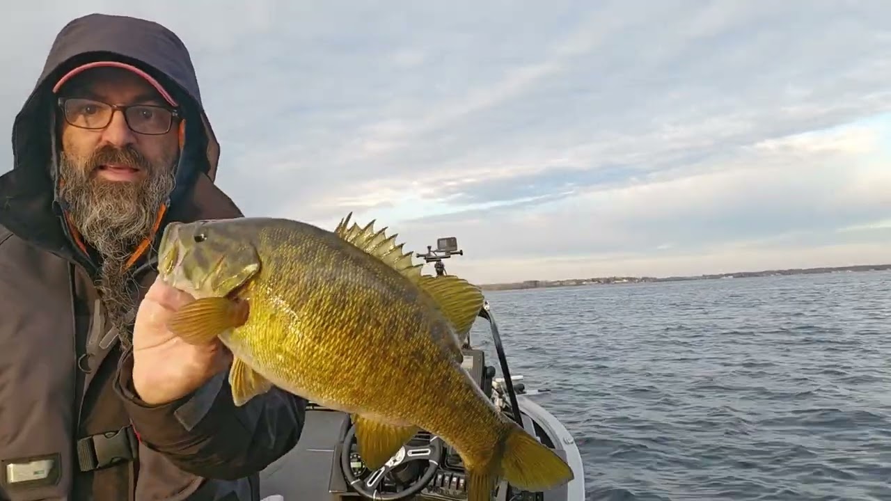Fall Smallmouth Swimbait Beatdown | 🔥 New PB ALERT 🔥 |