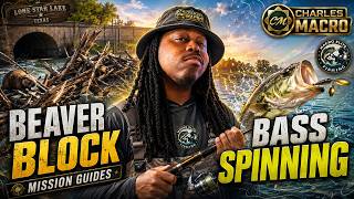 Beaver Block Party - Bass Spinning Guide - Mission Guides - New Lone Star Lake to Legend - Ep. 2