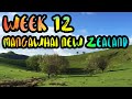 Rent a Farmhouse in the Green Hills of New Zealand!! /// WEEK 12 : Mangawhai, New Zealand