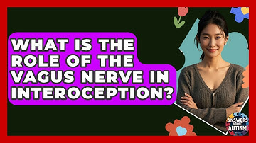What Is The Role Of The Vagus Nerve In Interoception? - Answers About Autism