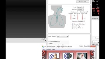 New Recording Feature for LLEAP Software