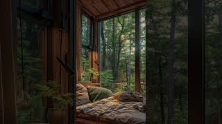 Rainy day forest cabin #relax #rainsounds #relaxing