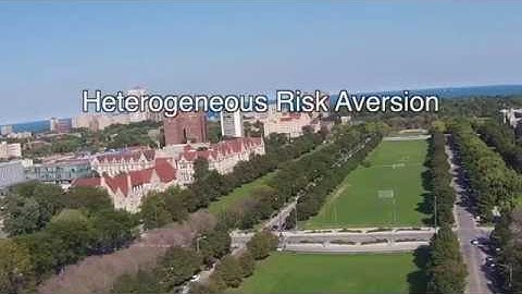 4.7 Heterogeneous Risk Aversion