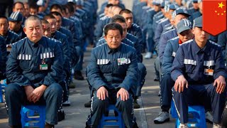 U.S. residents are being held in Xinjiang detention camps - TomoNews