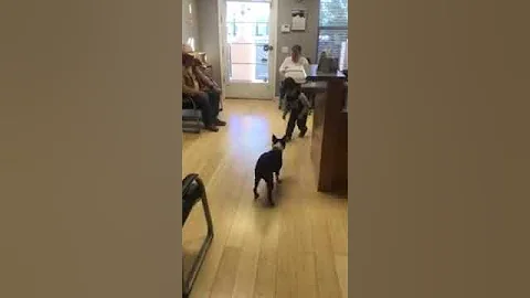 The "receptionist"