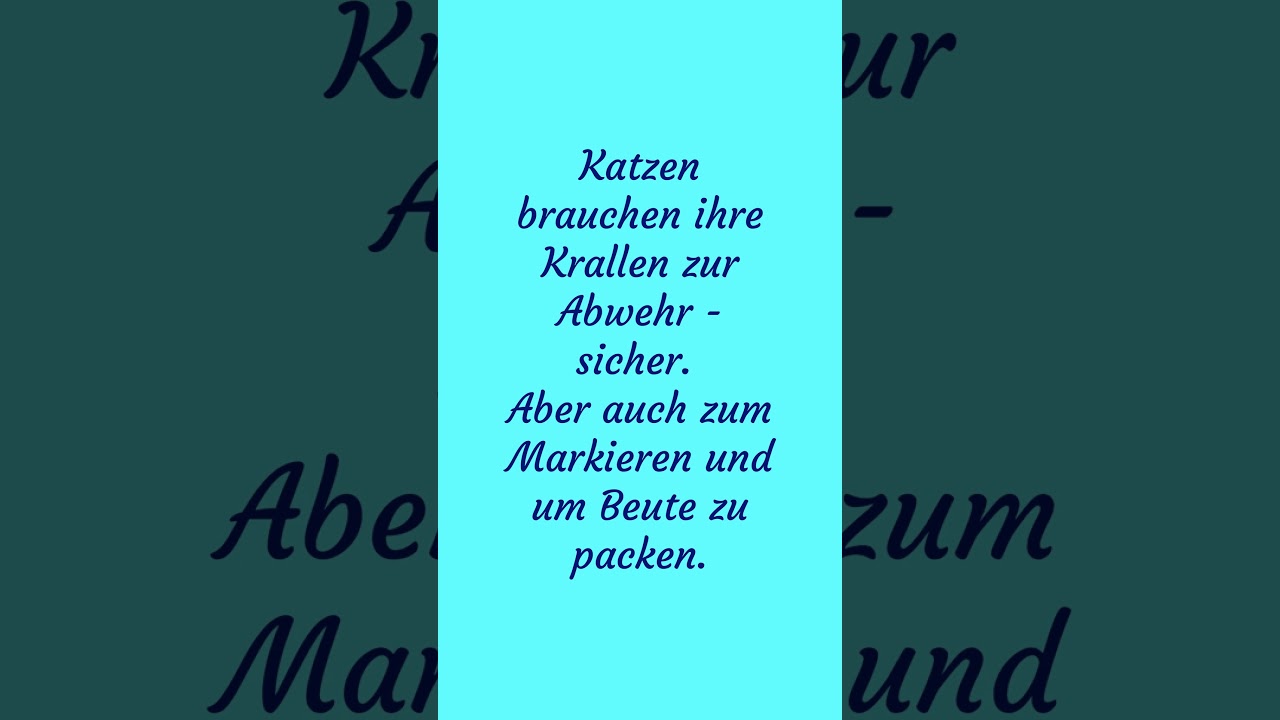 Tiermythen wahr oder Falsch? - Part 4 | Kleintierpraxis Bütikofer | 
