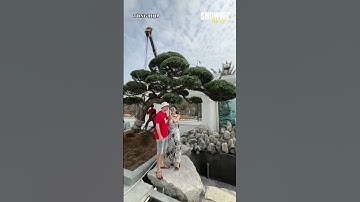 Ngân Collagen "bóc mẽ" Ngọc Trinh không sang vì... sống mũi?