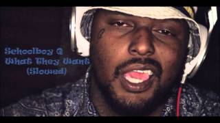 Schoolboy Q - What They Want Slowed