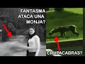 Top 7 Videos Escalofriantes De Fantasmas, Ovnis Y Angeles Caidos