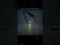 Shining solo 🌙 #explore #explorepage #trending #viral #shorts