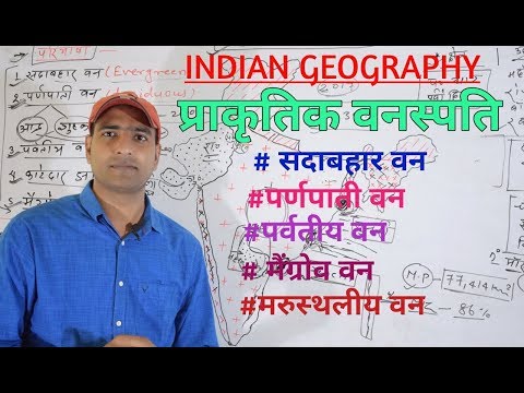 वीडियो: आर्द्र भूमध्यरेखीय वनों के जानवर कौन से हैं