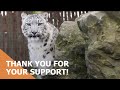 Thank you for your support!