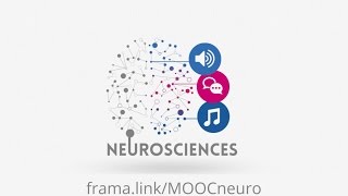 Teaser Du Mooc Neuroscience Parole Et Musique