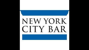 Scott J. Sholder: On Generative A.I. and the Art of Copyright Litigation