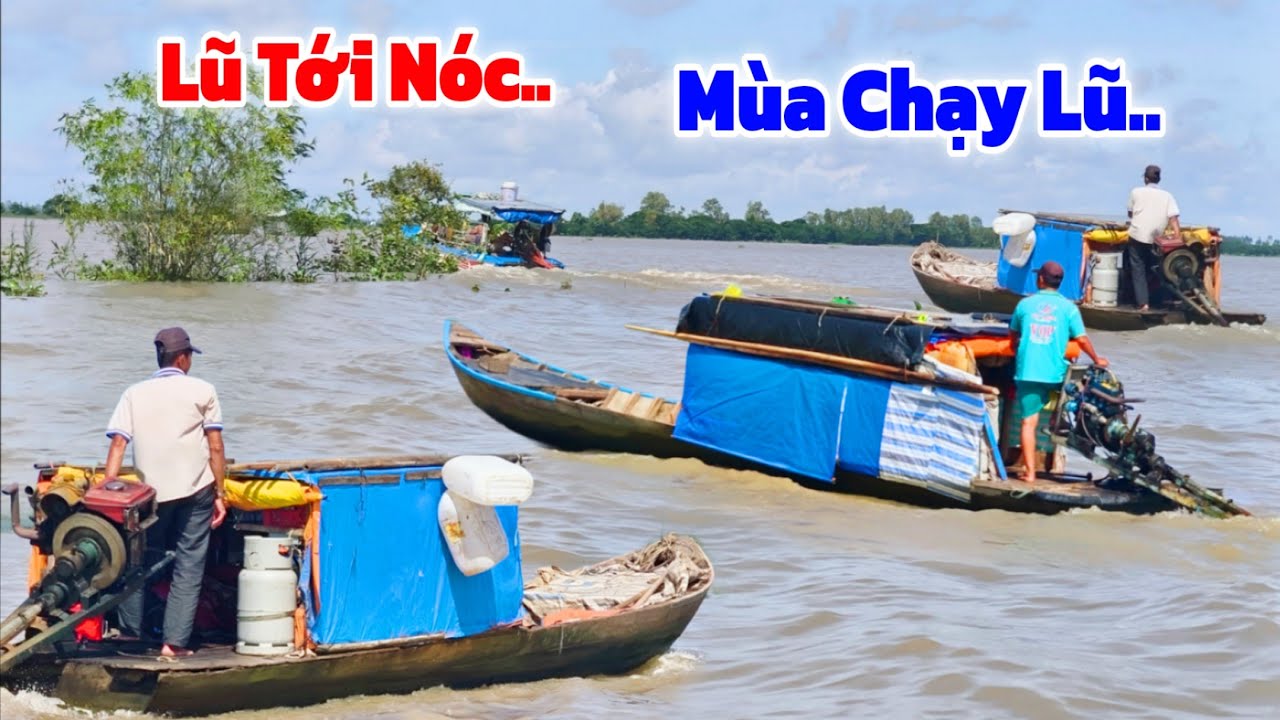 TỚI NÓC trận lũ
