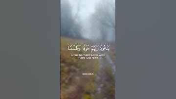 {تتجافى جنوبهم عن المضاجع...} تلاوة خاشعة للقارئ الشيخ إسلام صبحي ✨