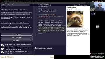 Agregando enlaces a imágenes con HTML - freeCodeCamp en Español