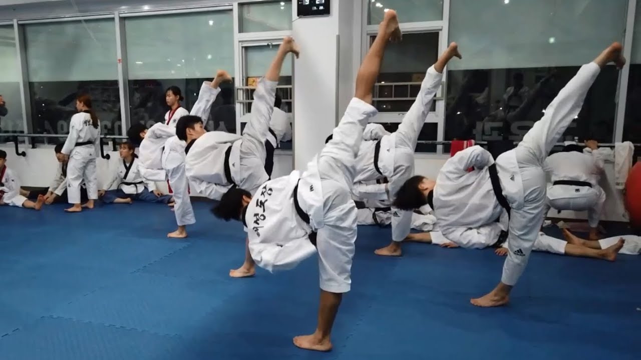 Moohwa Taekwondo Korea Trip 2019