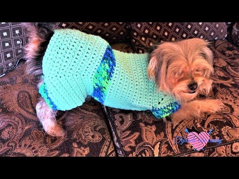 Traje o sueter para perrito y perrita Dog sweater - YouTube