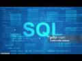 SQL wildcard chars queries