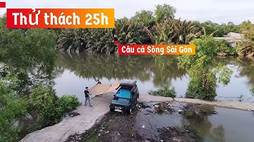 ✅ Thử thách 25h câu cá thiên nhiên Sông Sài Gòn | DF Rô Phi Cụ | DUY FISHING