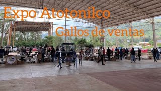 EXPO ATOTONILCO Y GALLOS DE VENTAS
