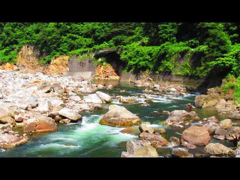 宮川下流