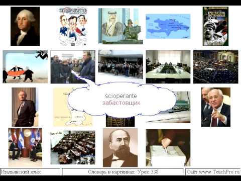 Урок 338 политика