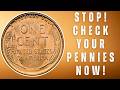 Rare Wheat Pennies Worth a Fortune – Check Your Pocket Now!