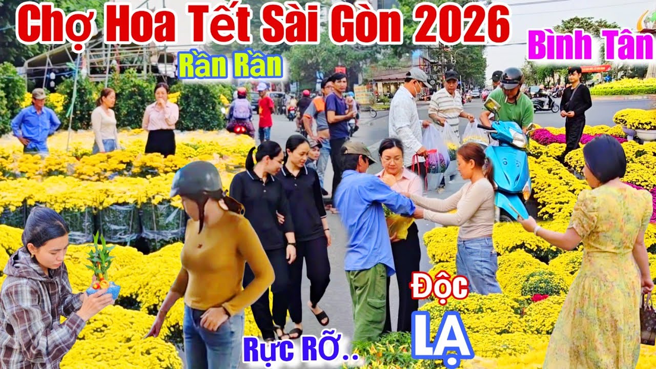 Chợ Hoa Tết sài gòn 2026 Rần Rần..Quận Bình Tân rực rỡ hoa kiểng Độc Lạ đón xuân