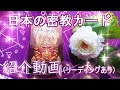 【カード紹介動画】日本の密教カード∞オラクル紹介動画✨プチリーディング三択あり