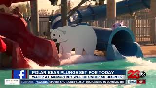 Bakersfield Polar Bear Plunge