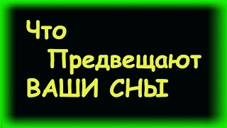 видео Сонник вши к чему снится  вши во сне