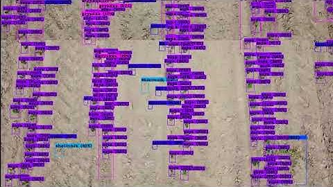 YOLO v4 neural network on soybean field