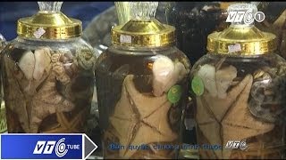 Rượu ngâm hải sản có phải thần dược? | VTC